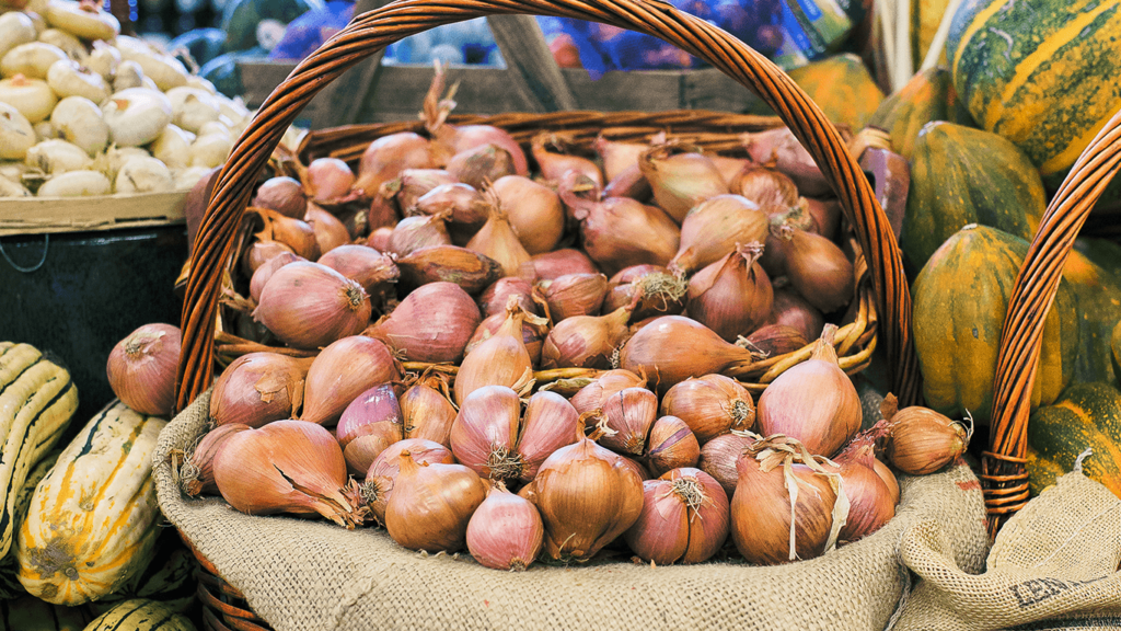 Fresh Onions and Shallots Market Beating Historical Challenges, What's Next