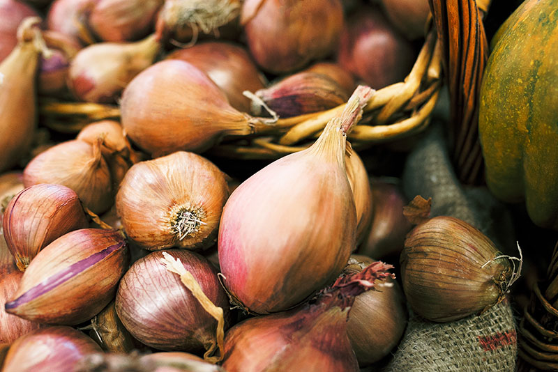 Shallots Are Your New Go To Vegetable! - Tacoma Boys and H&L Produce