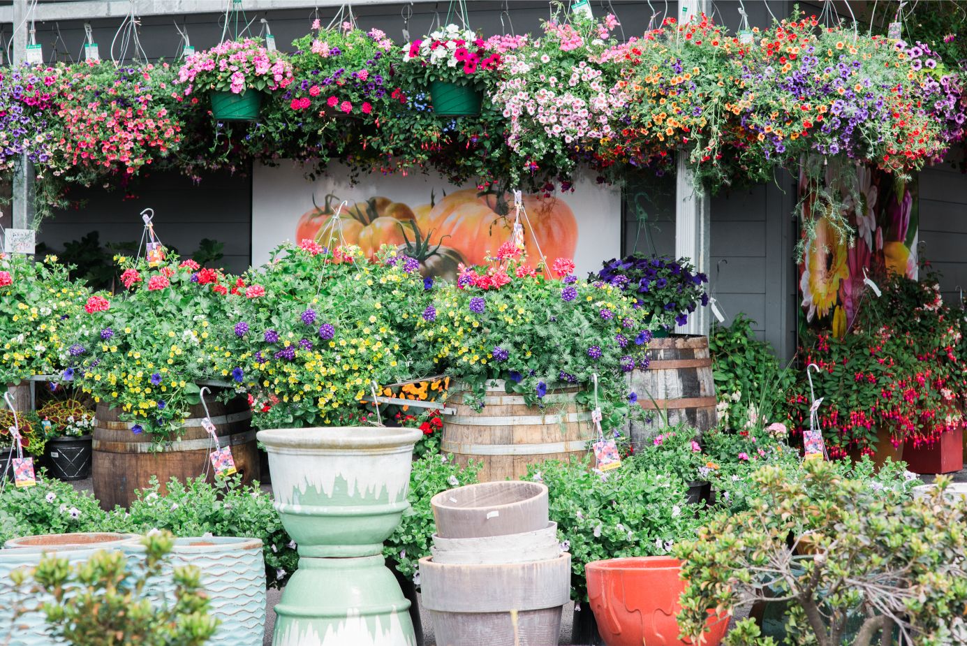 Hanging Baskets in Spring: Raising Up The Family Tradition - Tacoma Boys