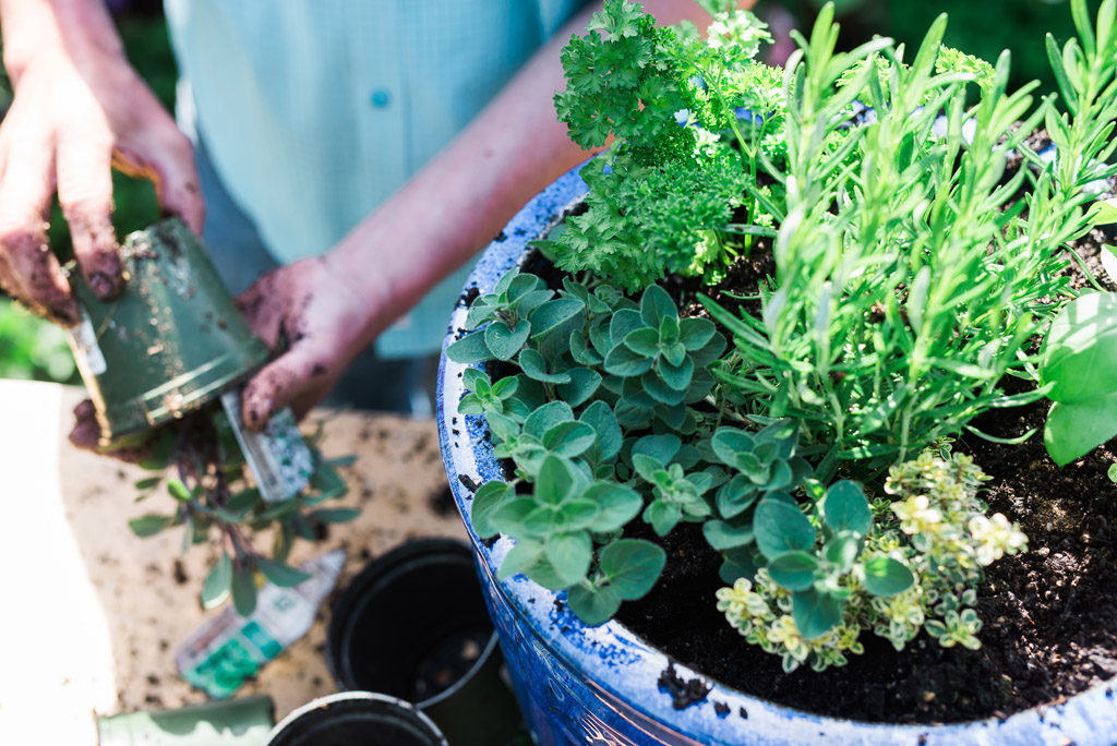 container gardening for big impact