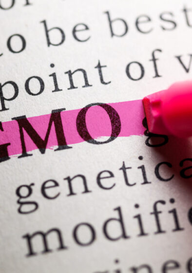 does organic mean non gmo