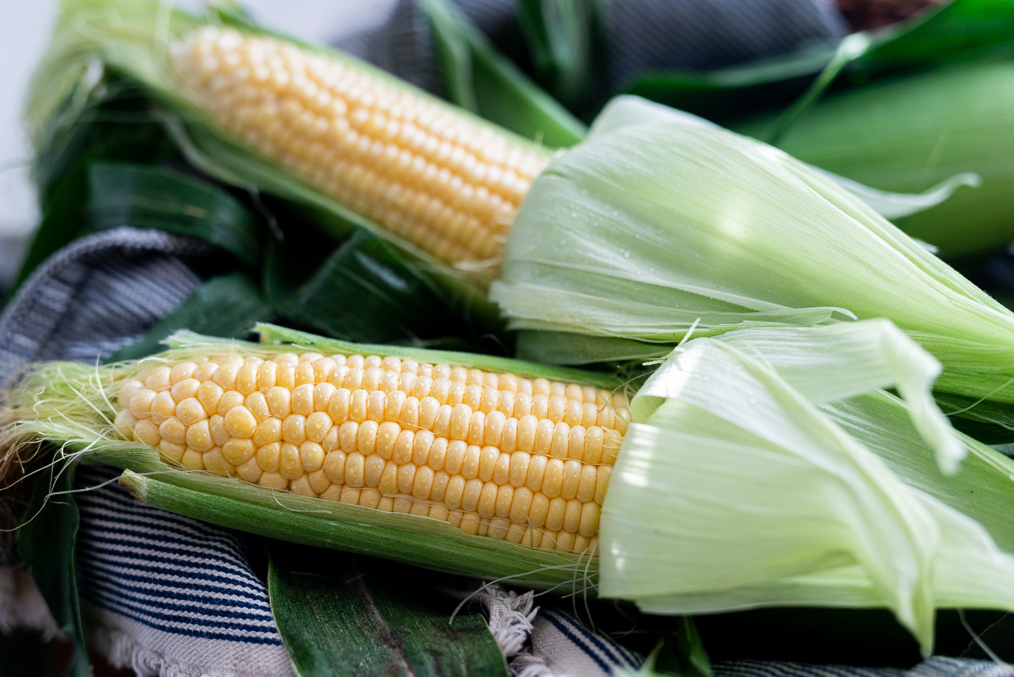 What is the meaning of Munch this vegetable right off the cob at